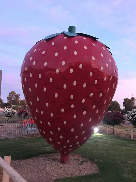 The Big Strawberry