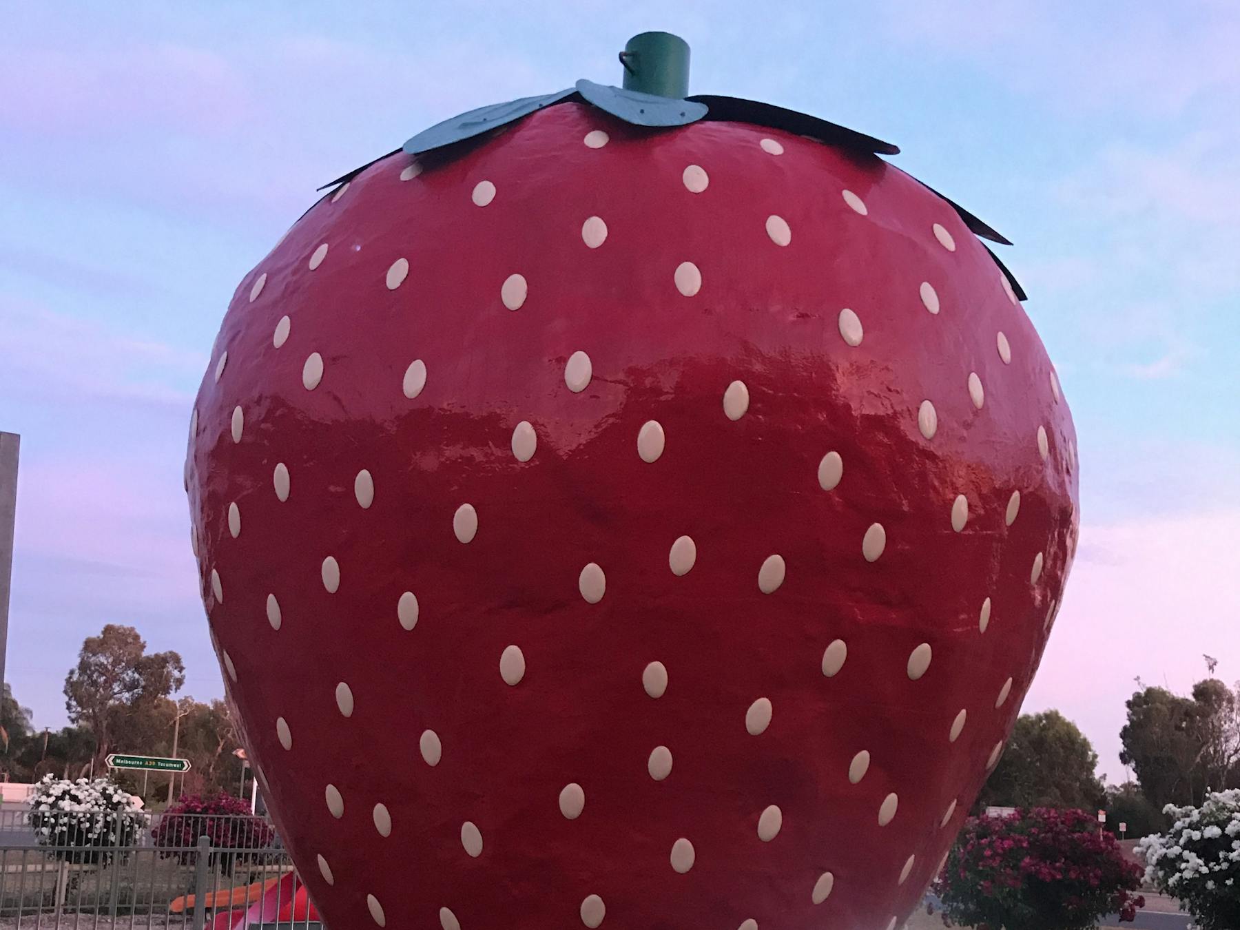 Big Strawberry