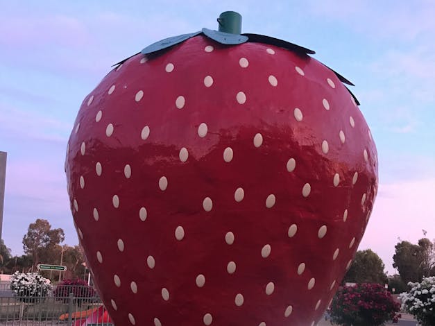 The Big Strawberry