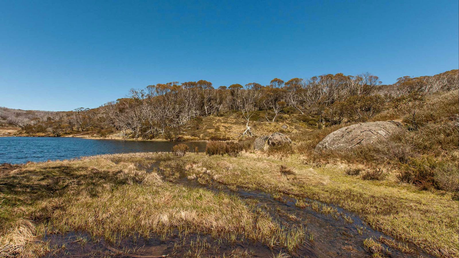 Rainbow Lake Walking Track