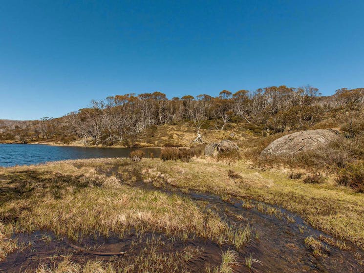 Rainbow Lake walking track, Kosciuszko National Park. Photo: Murray Vanderveer