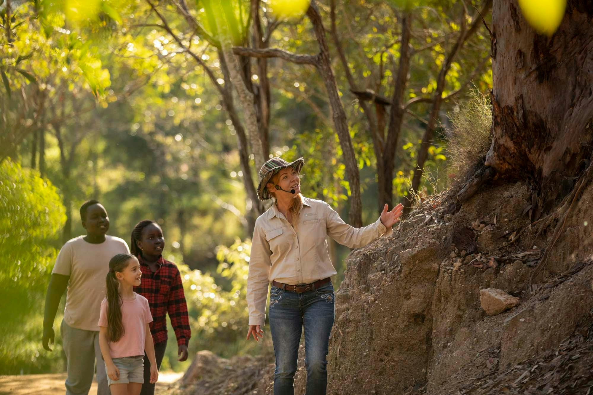 Nocturnal Nature Detectives