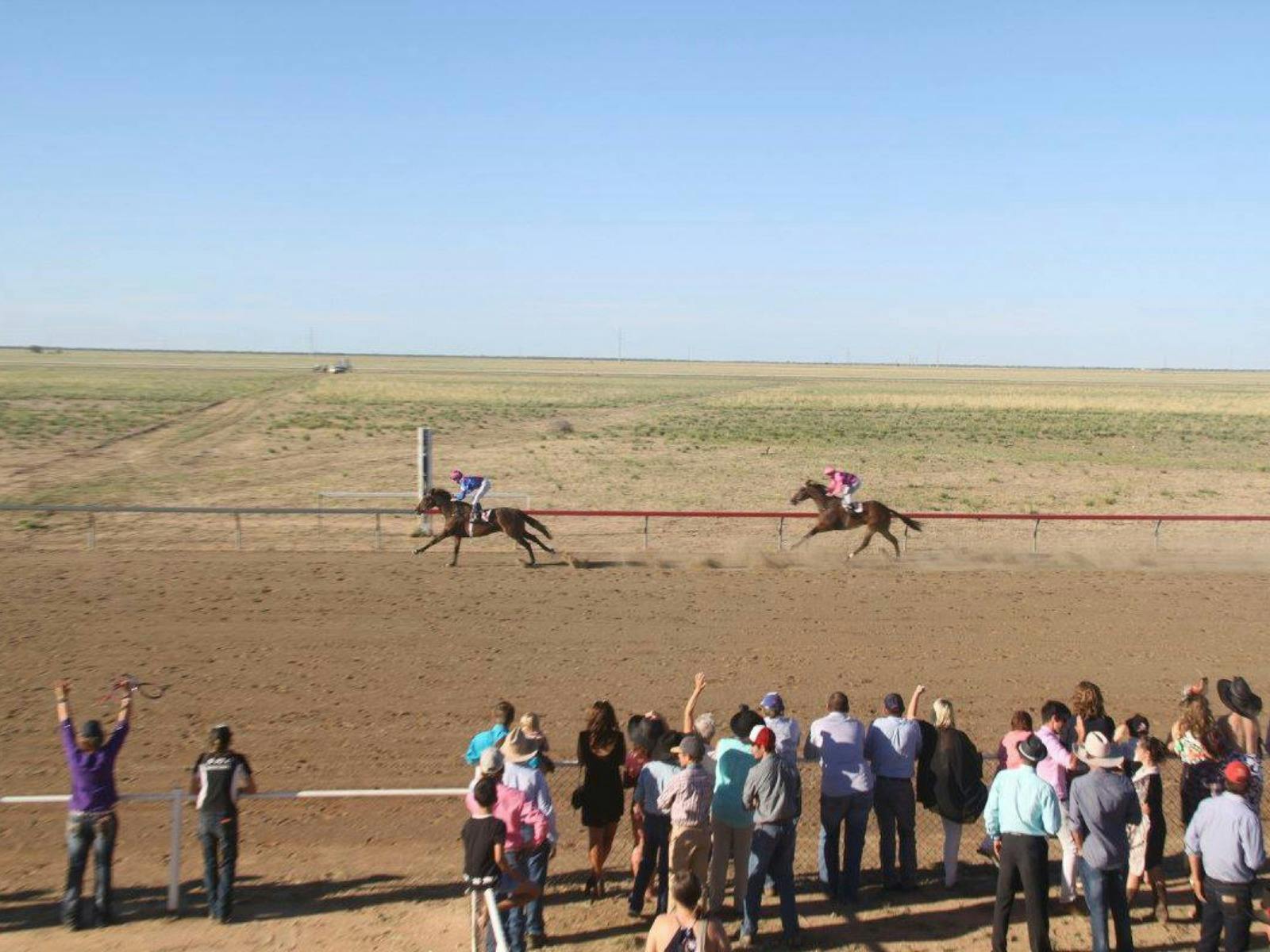 Horses racing past finish line