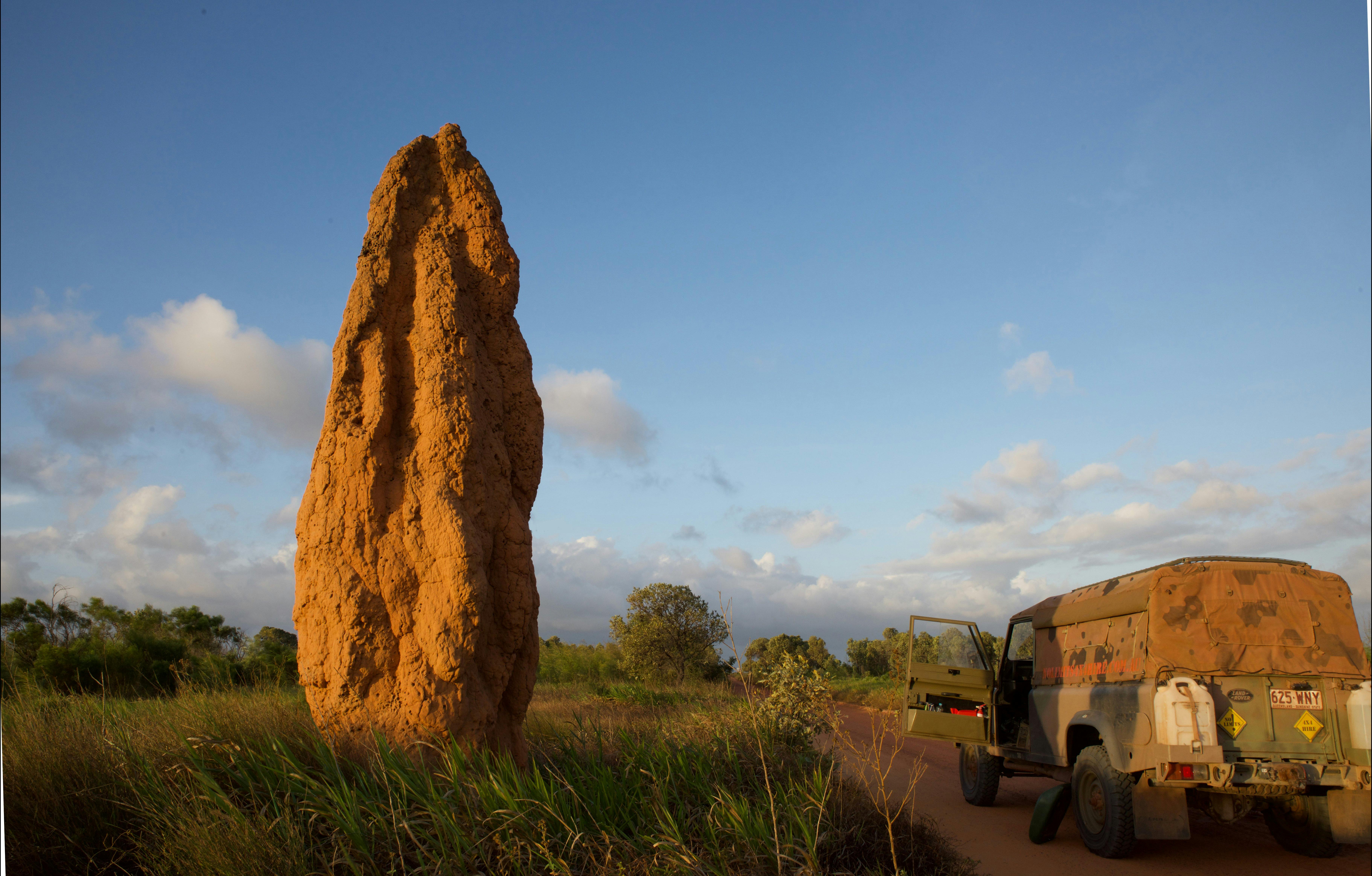 Termite mound