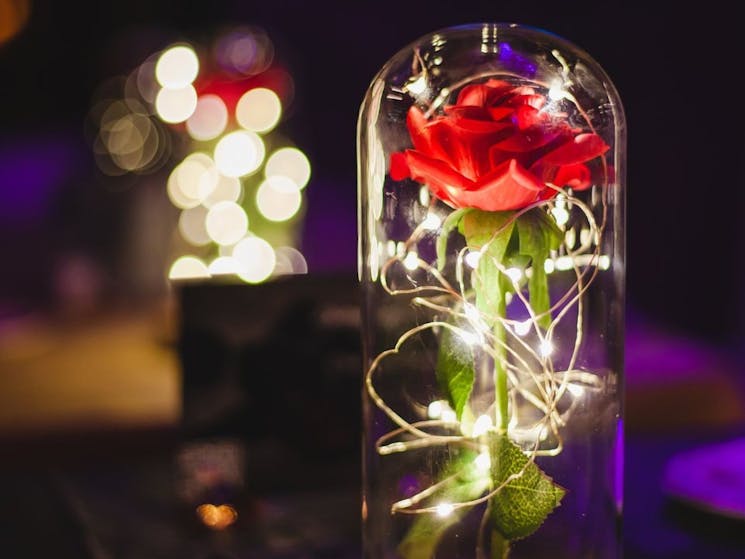Rose in glass lit up