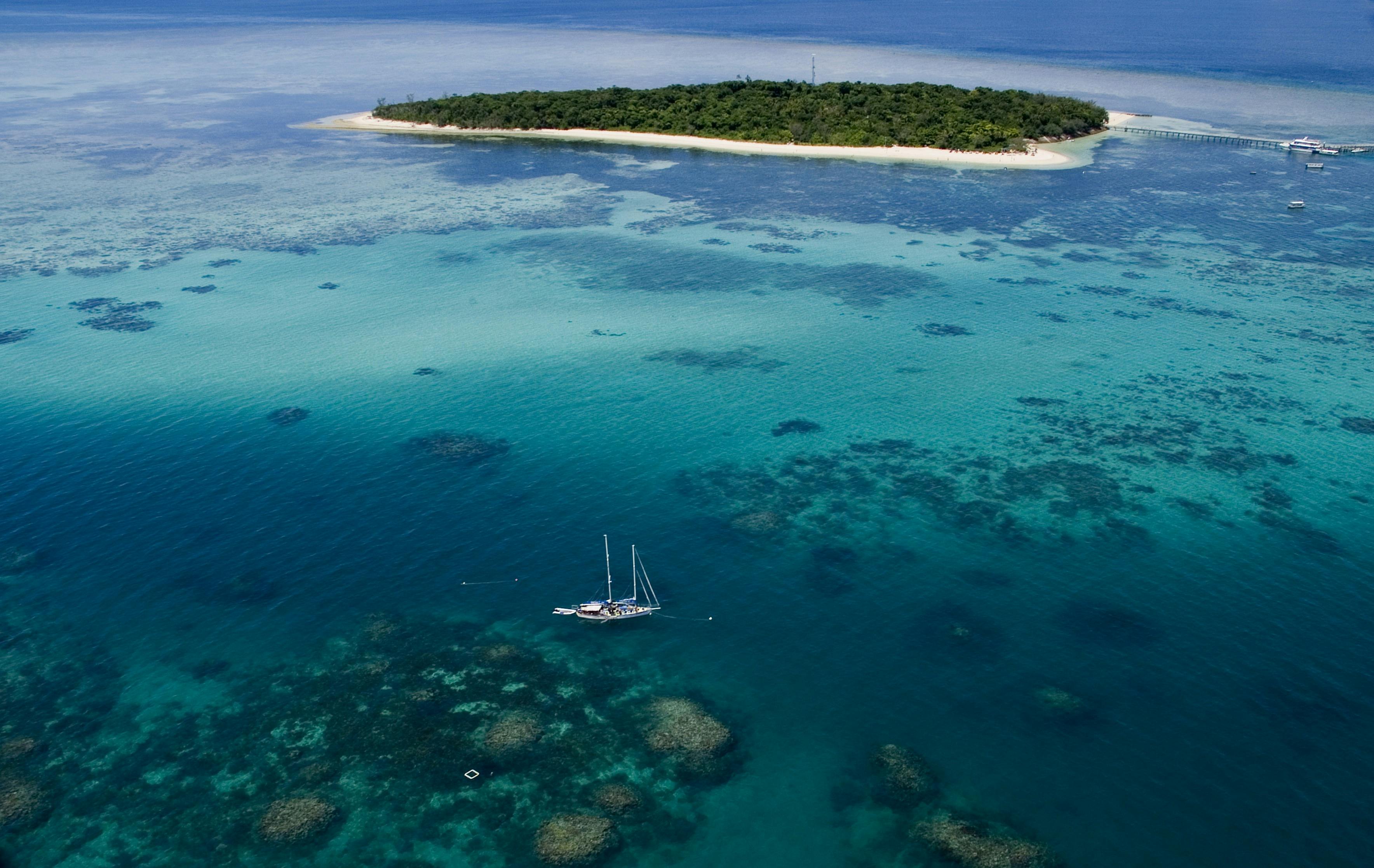Ocean Free Sail to  the Great Barrier & Green Island