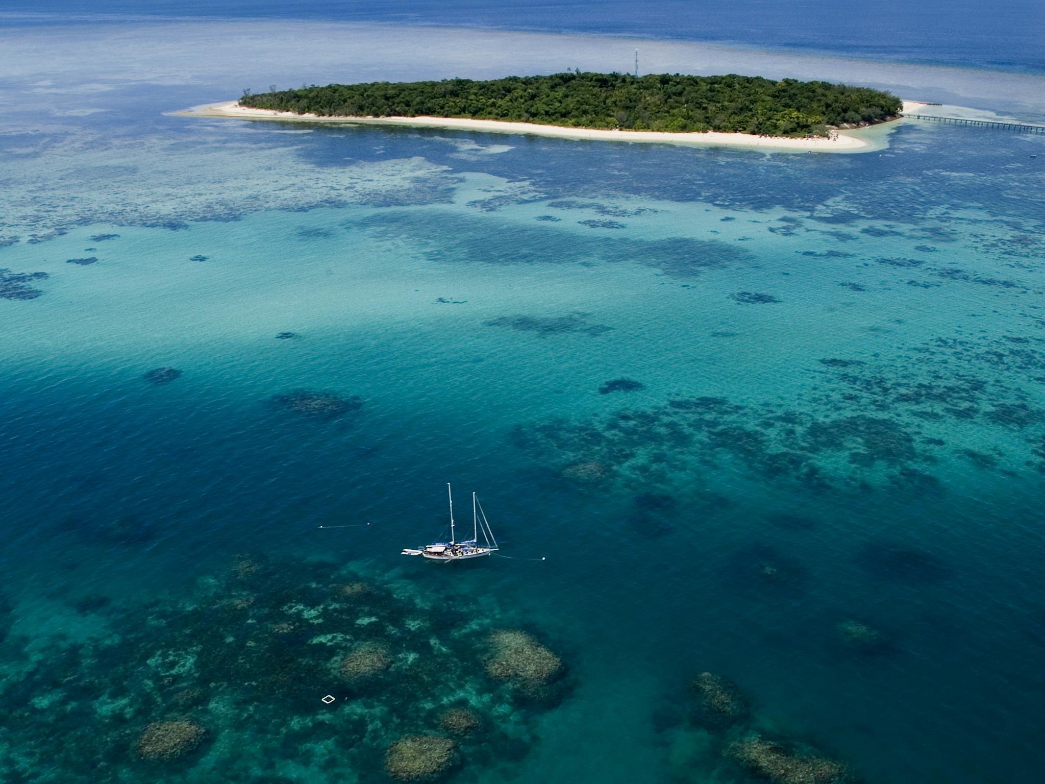 "Pinnacle Reef" - one kilometre off Green Island, exclusive reef site, boutique-style, sail "Pinnacle Reef" - one kilometre off Green Island, exclusive reef site, boutique-style, sail