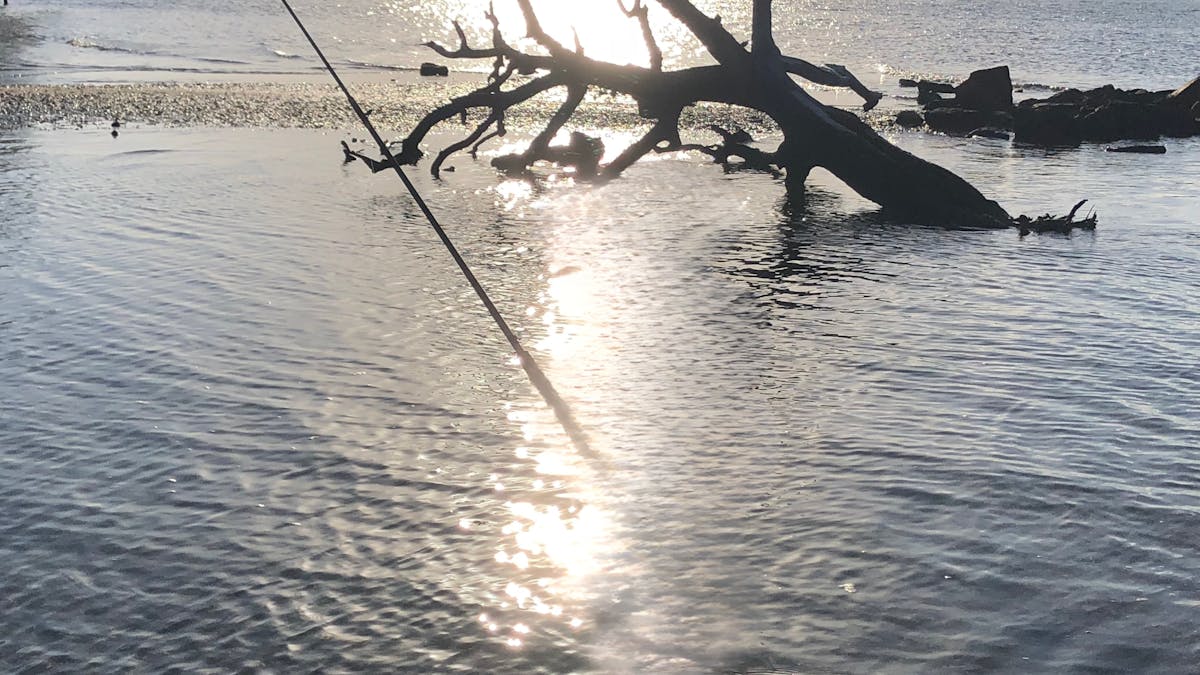 sunset on the water