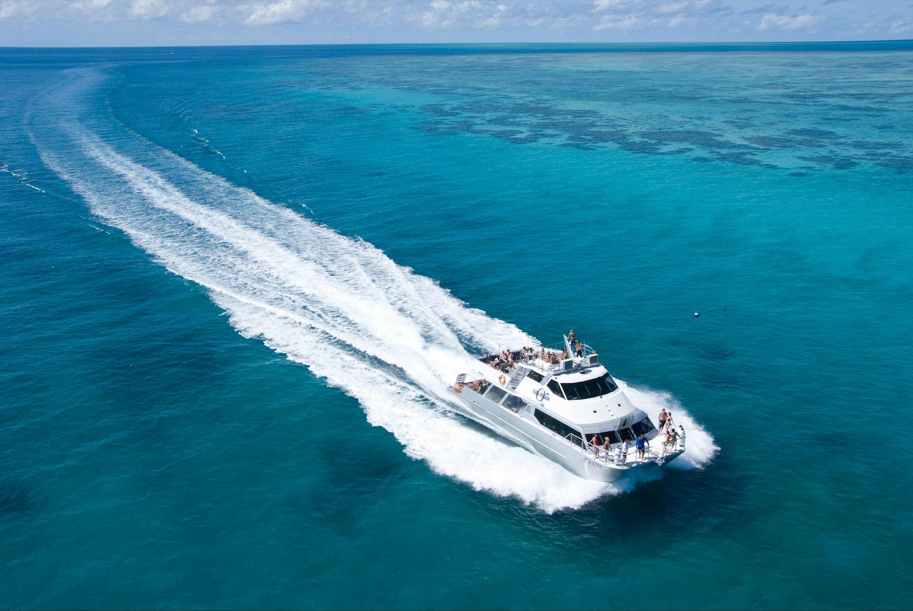 Ocean Freedom - Fast 20M Motor Catamaran - minimal travel time to Great Barrier Reef in Cairns