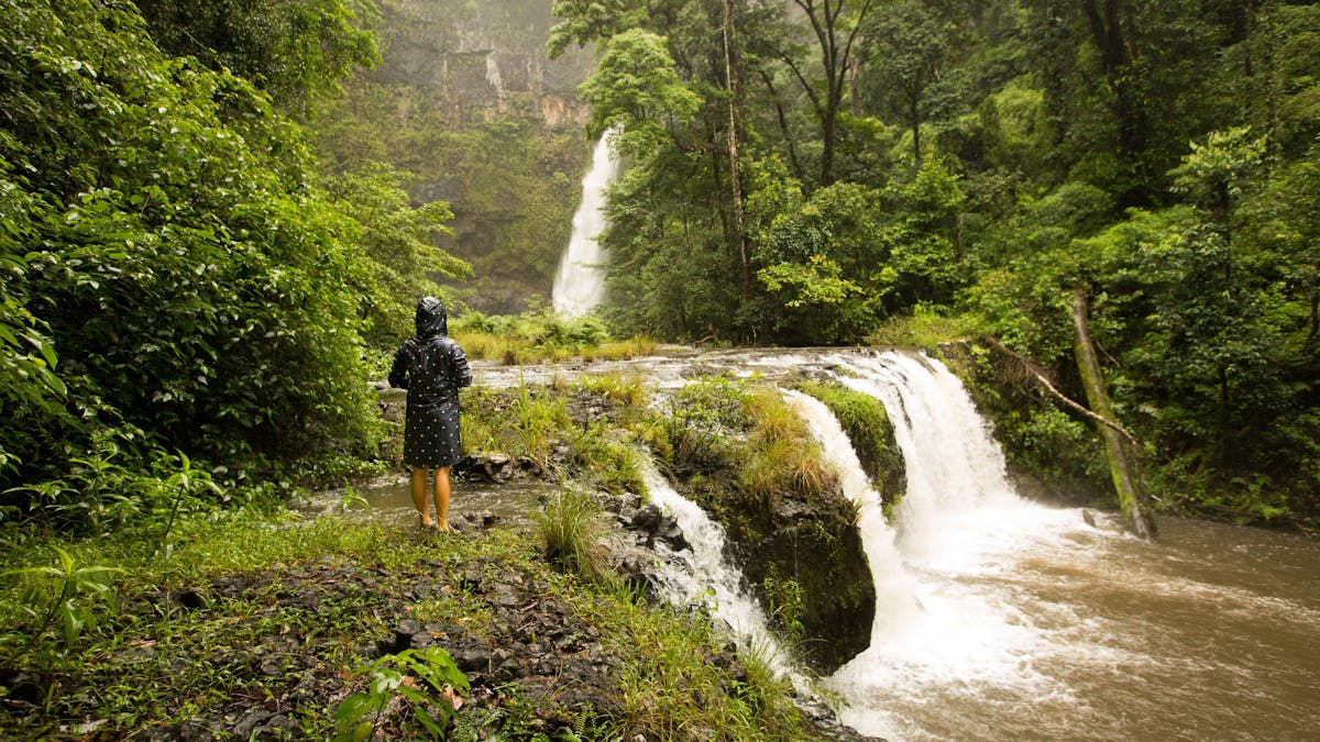 Nandroya Falls Nandroya Falls