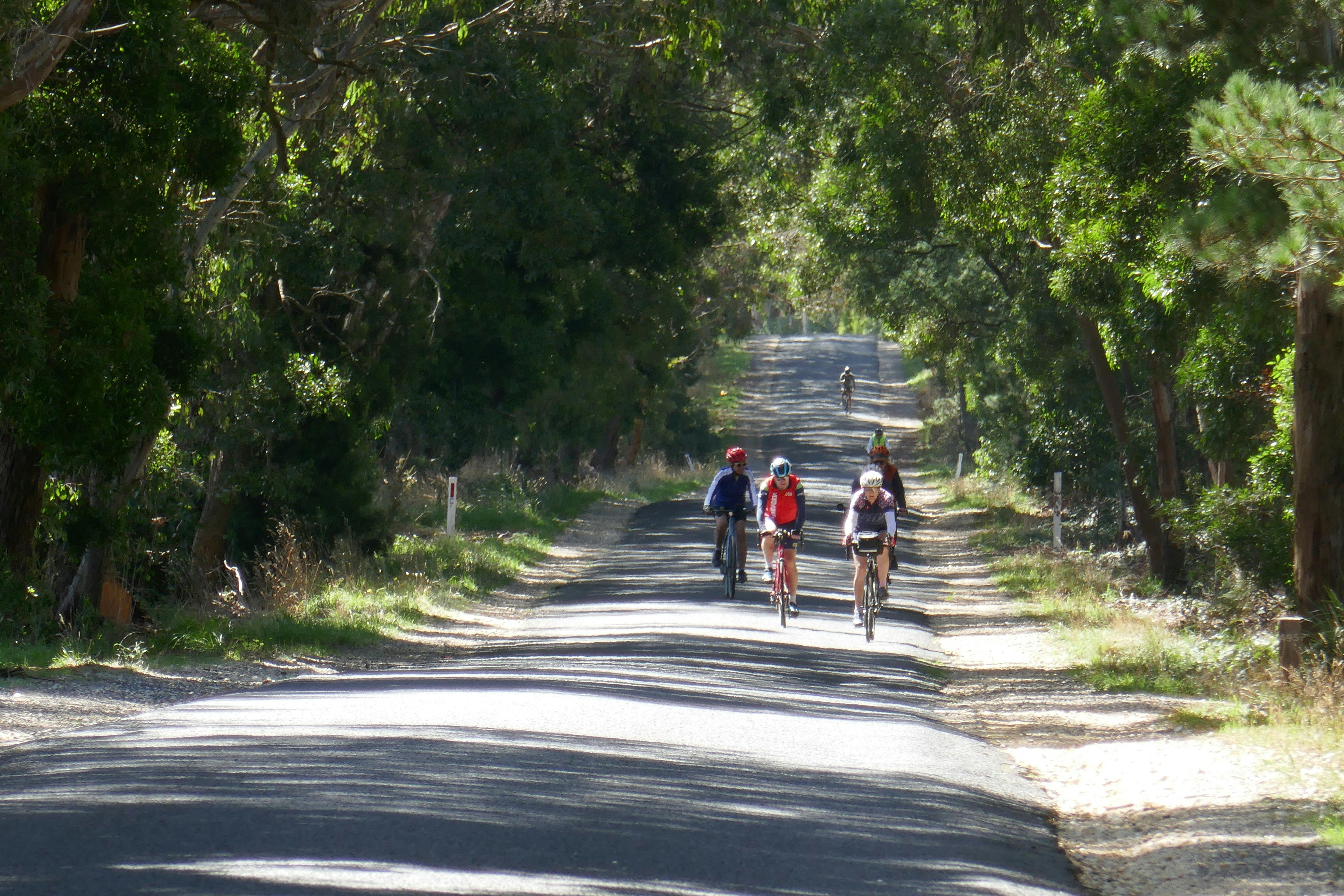Cycling the back roads