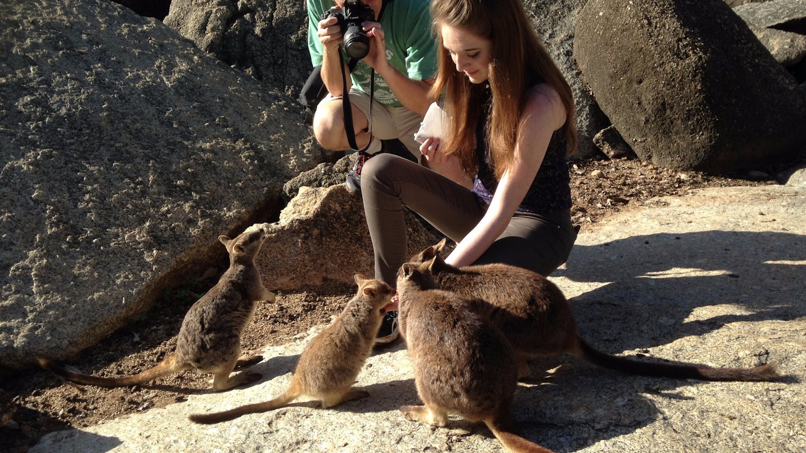 Granite Gorge Wallaby Rock