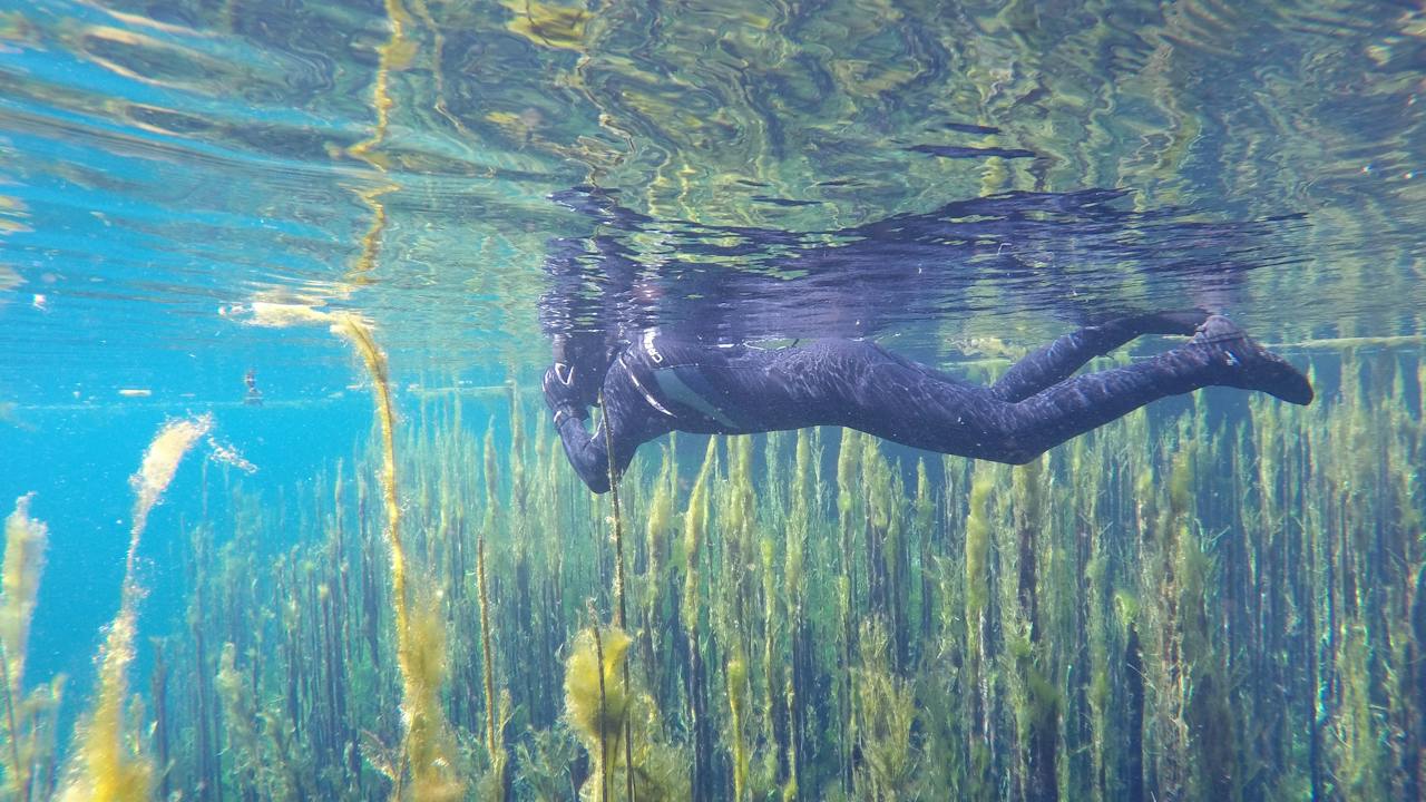 Ponds snorkeller