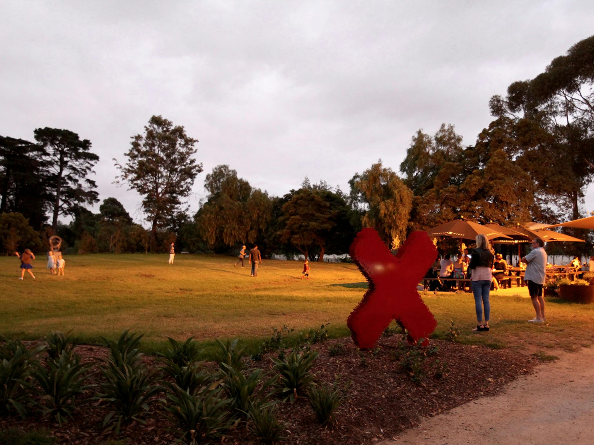 Shadowfax Friday Night fun