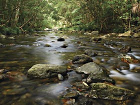 Plateau Circuit Loop Trail