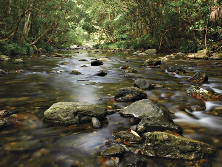 Urumbilum River, Bindarri National Park. Photo: Shane Ruming