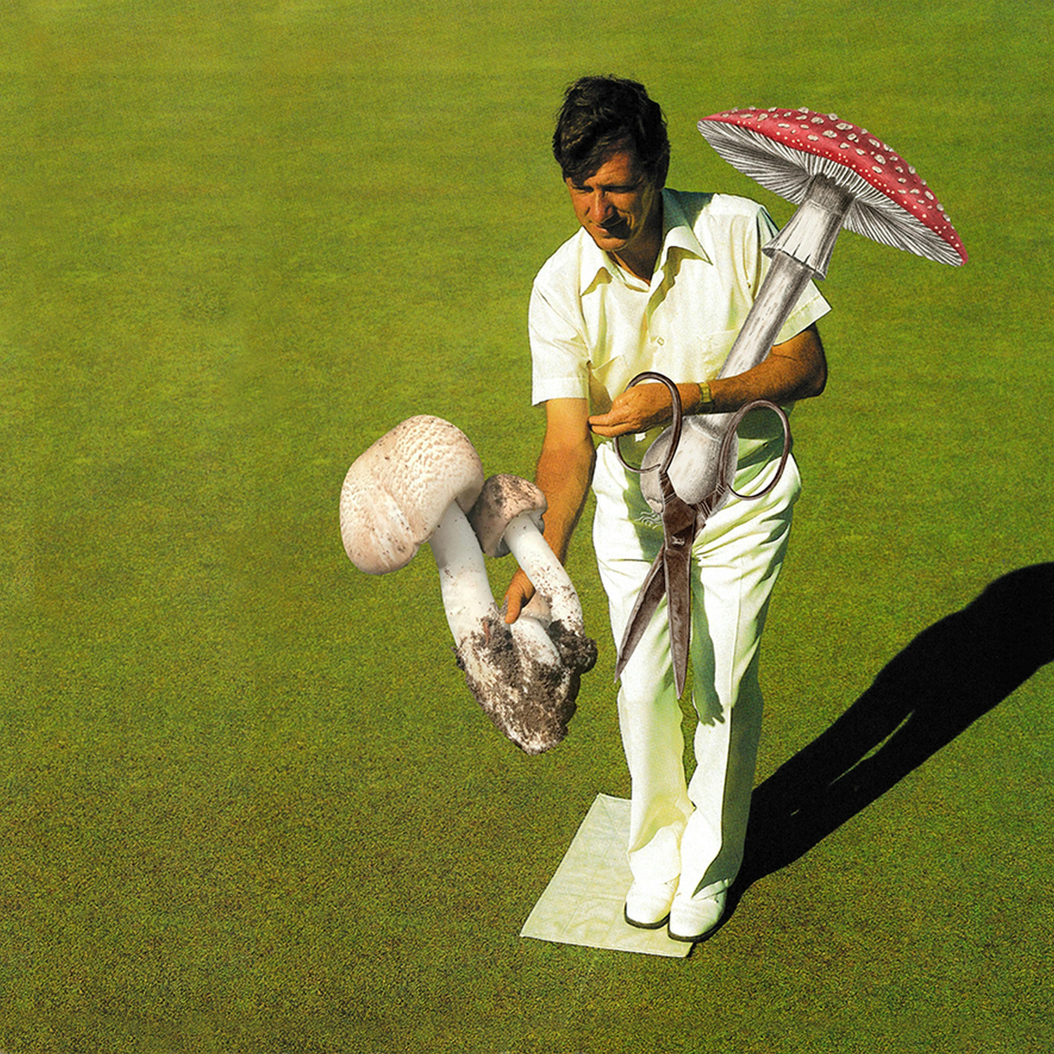 Lawn bowling player and fungi