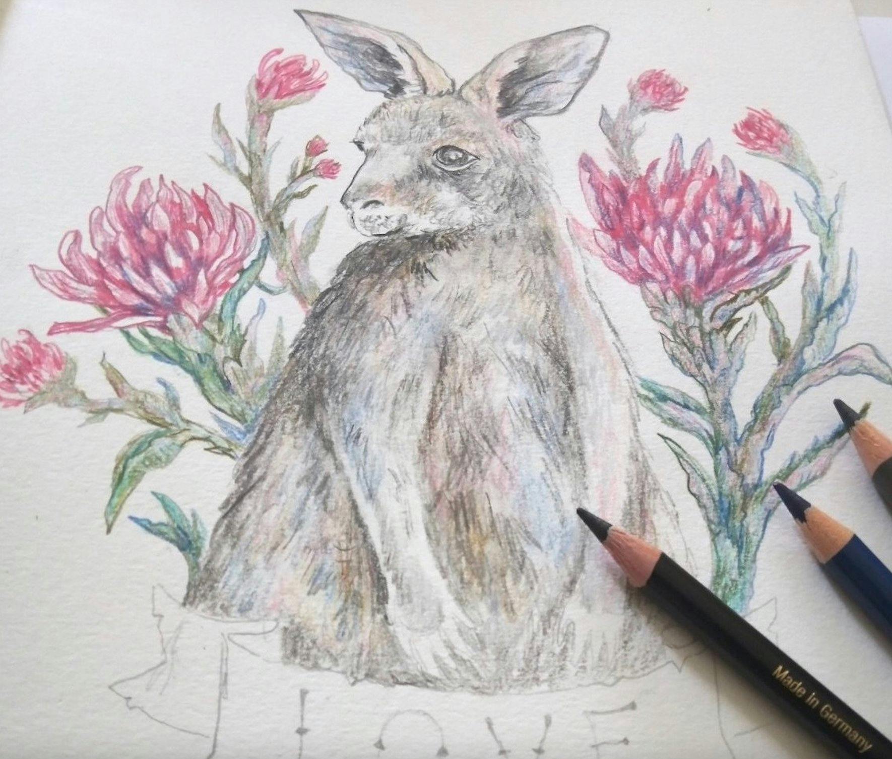 Australian Wildlife and Botanical Illustration Class