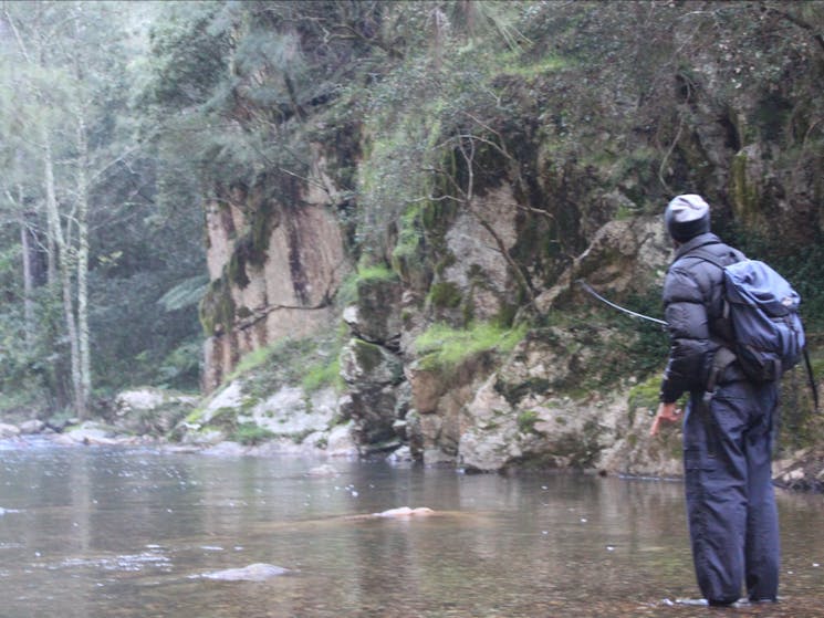 Fishing Tour