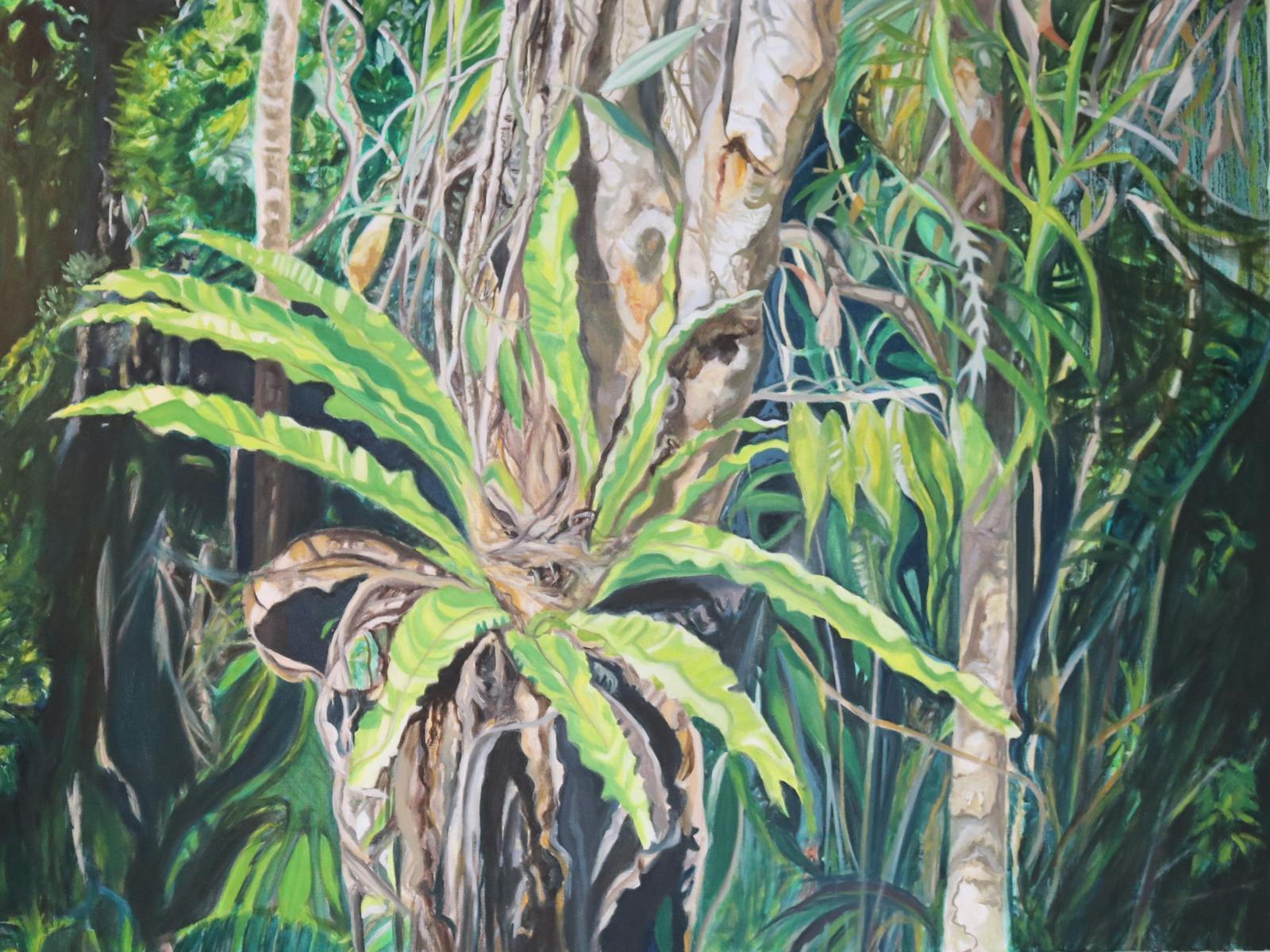 Image for Vanessa Whittington - North and South: Australian Landscape Journeys