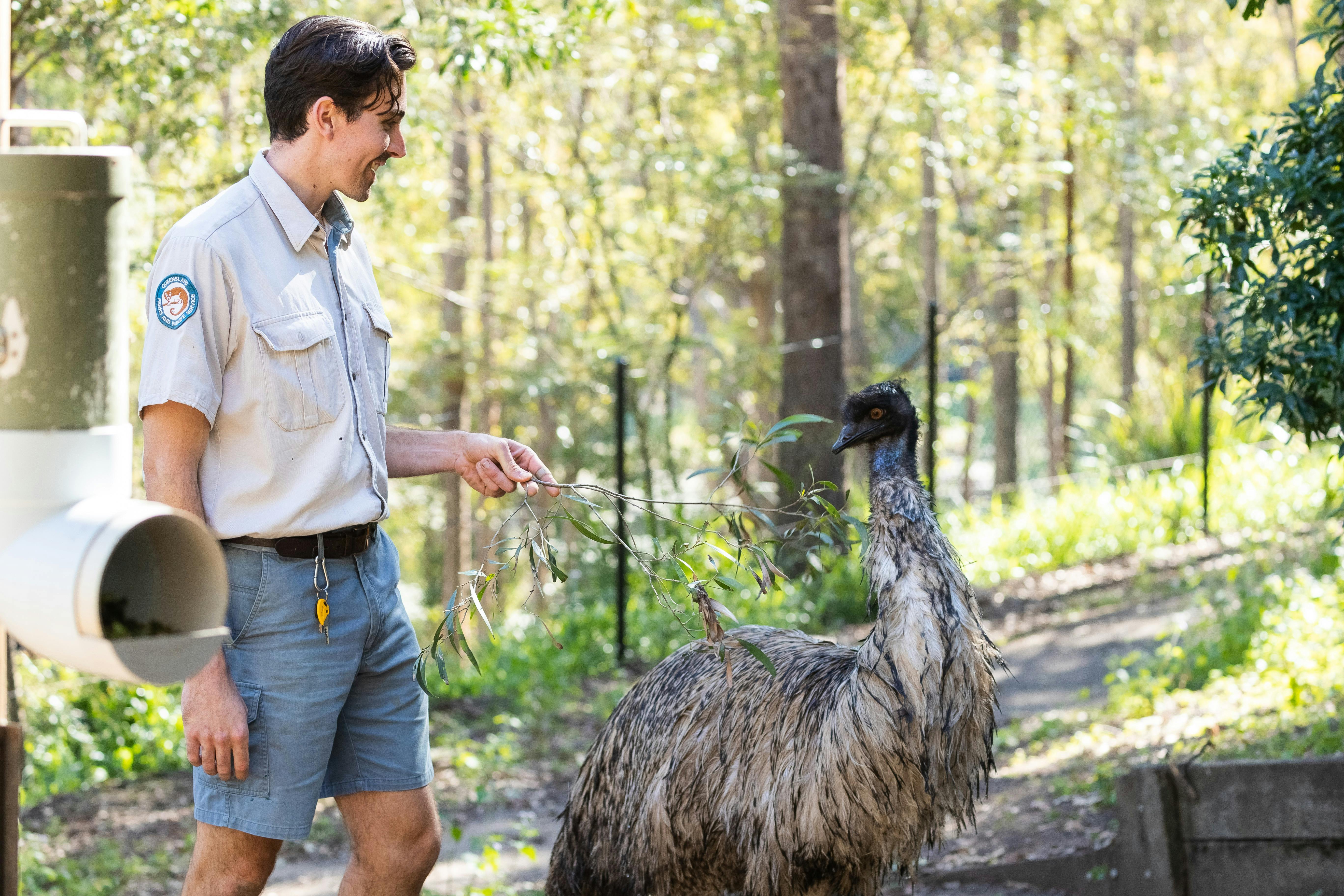 Meet Rangers and wildlife!