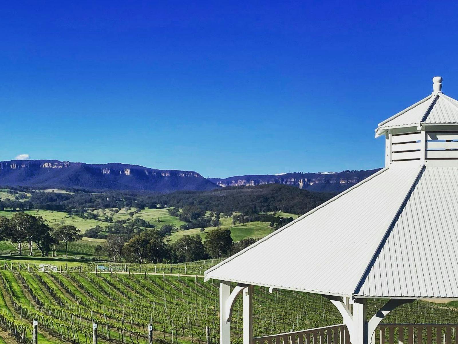 로터 원과 함께하는 메갈롱 크릭 와이너리에서의 블루마운틴 프로포즈 - 헬리콥터 어드벤처