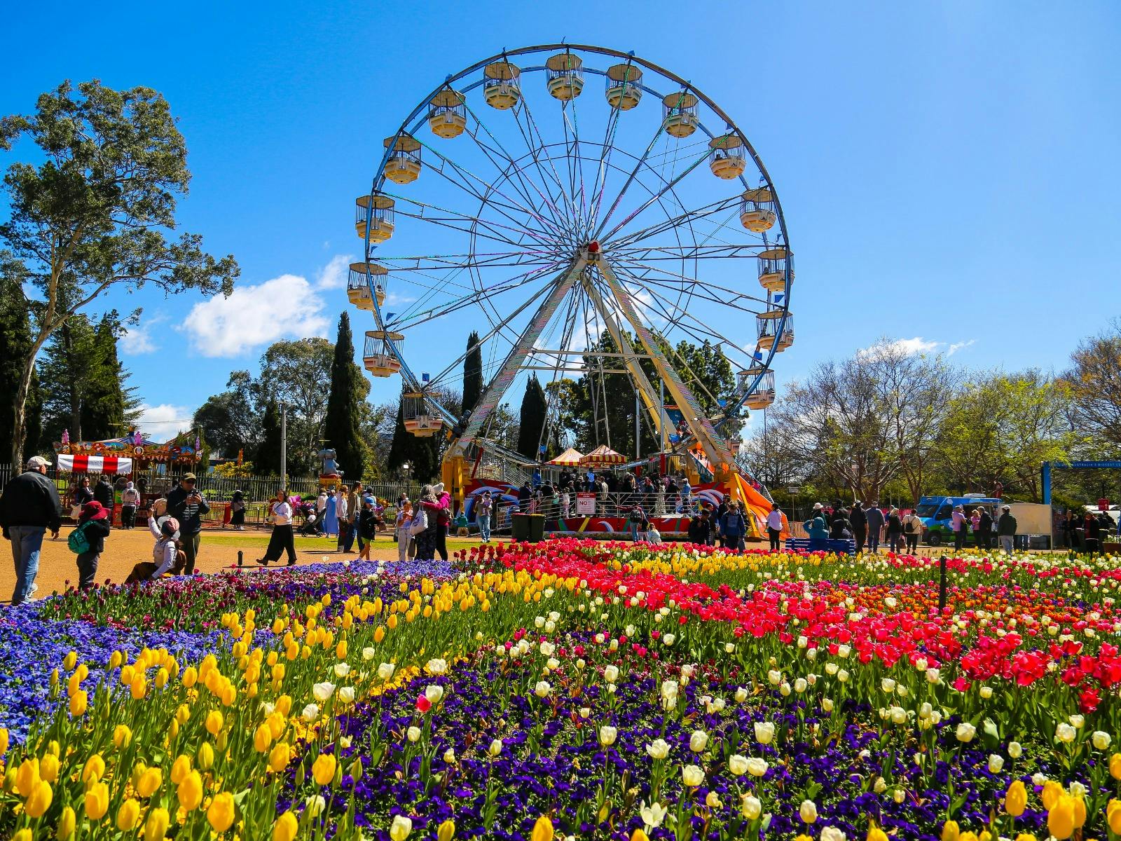 photo of a ferris wheel with people walking past and flowers in front