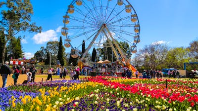 photo of a ferris wheel with people walking past and flowers in front