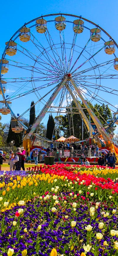 photo of a ferris wheel with people walking past and flowers in front