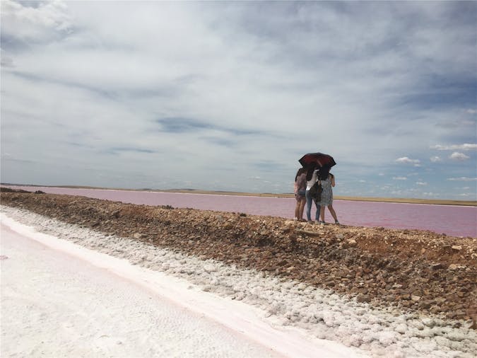 3 Days 2 nights Tour Pink Lake Lake Hart Coober Pedy Opal Trail
