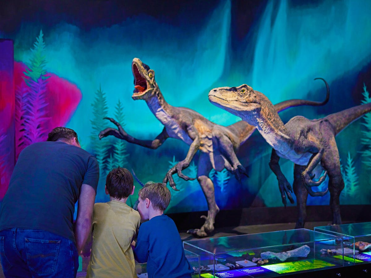 Family looking at dinosaurs