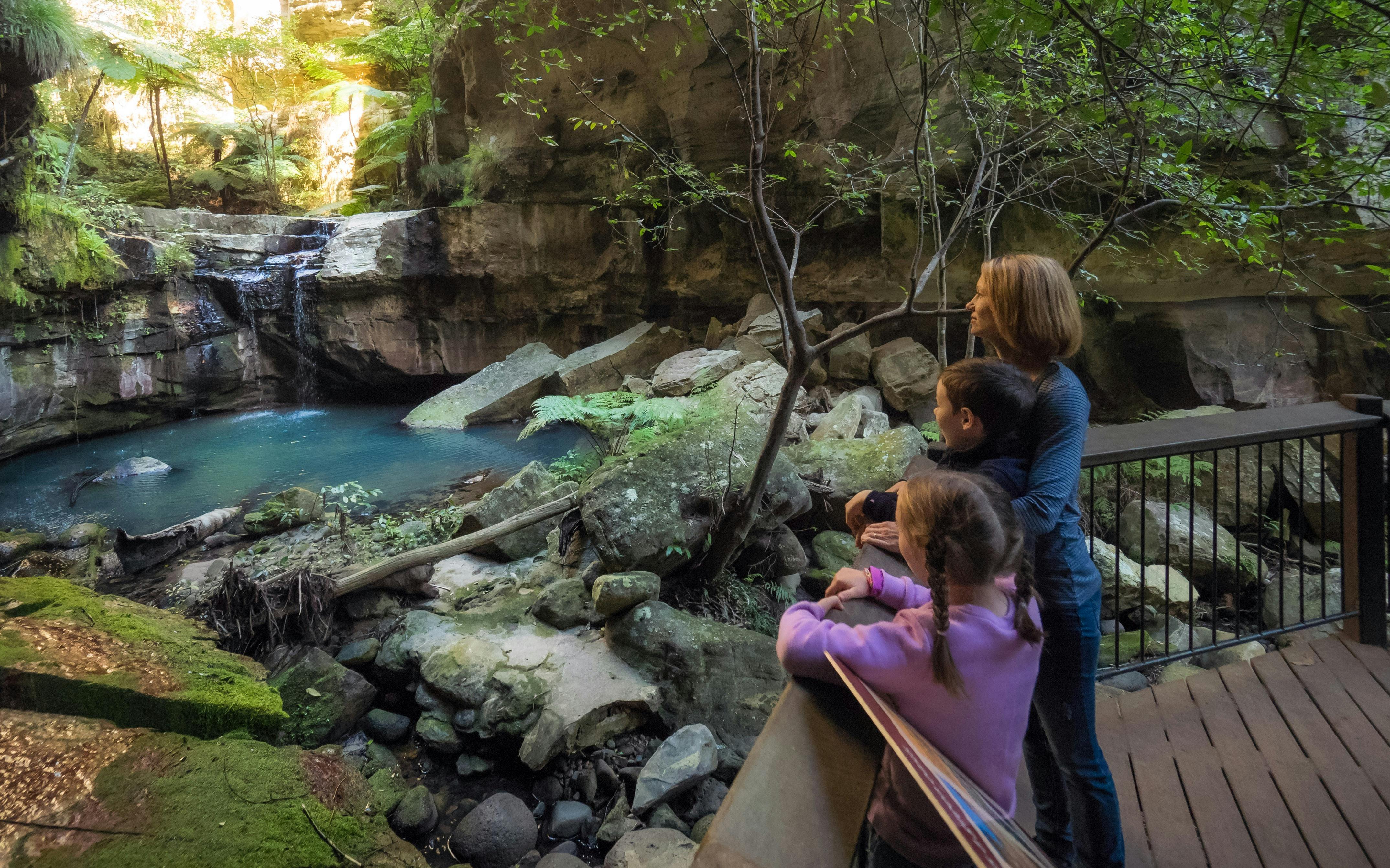 Takarakka Bush Resort Carnarvon Gorge - Visit Capricorn