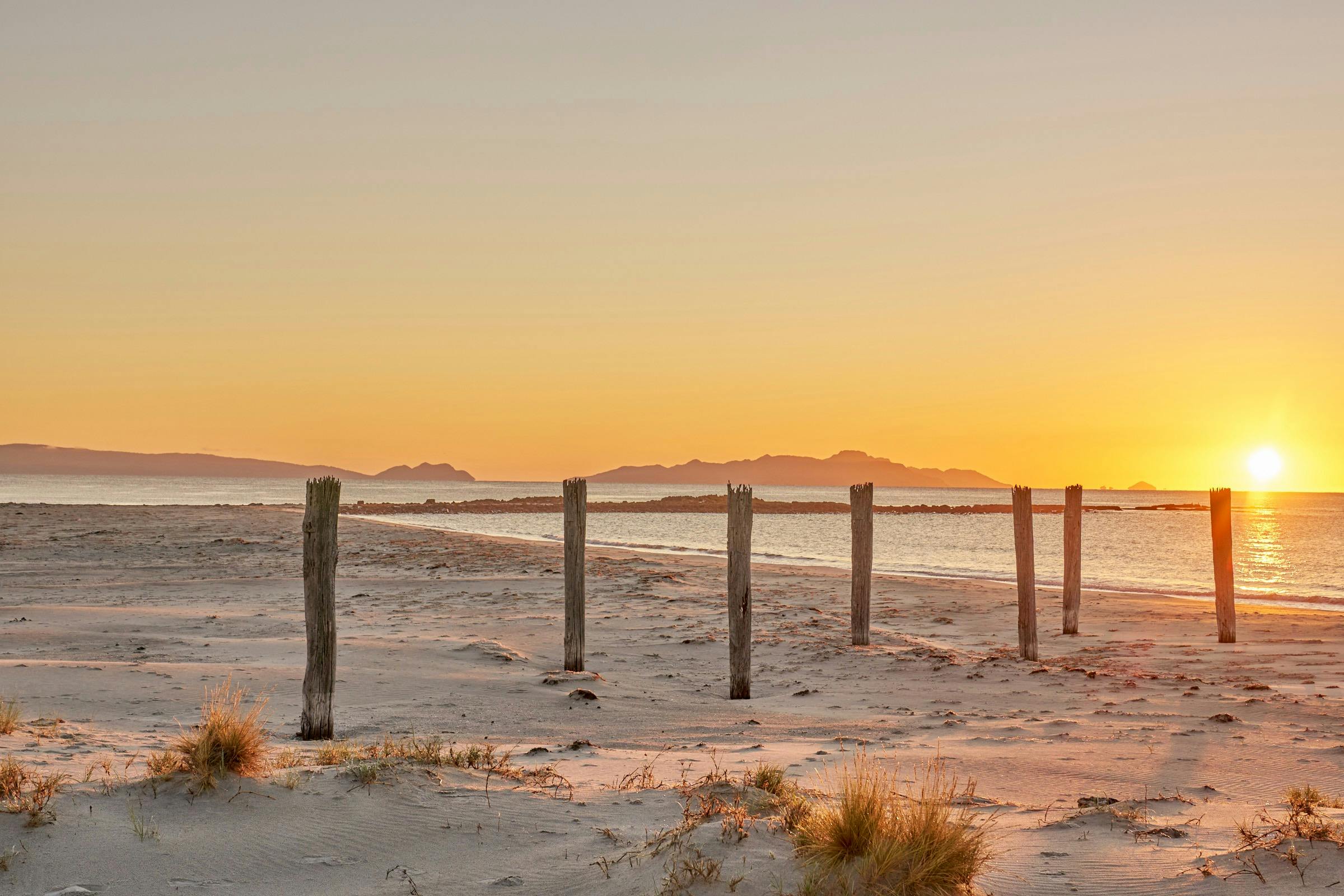 jetty