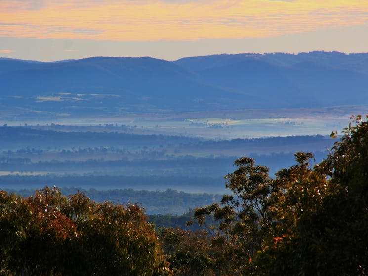View of the Darling Downs in the distance.