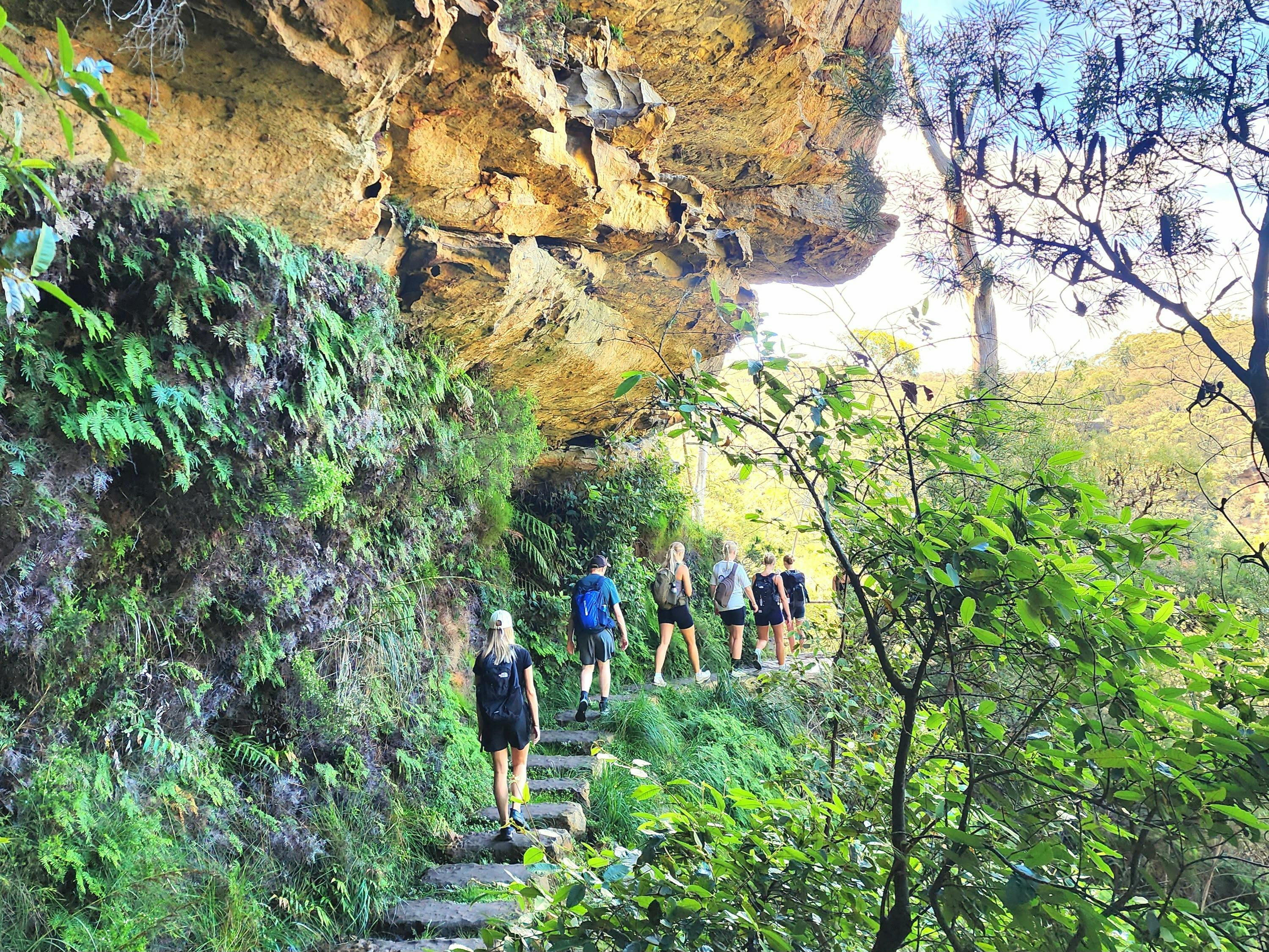 Coast Warriors Sydney Tours