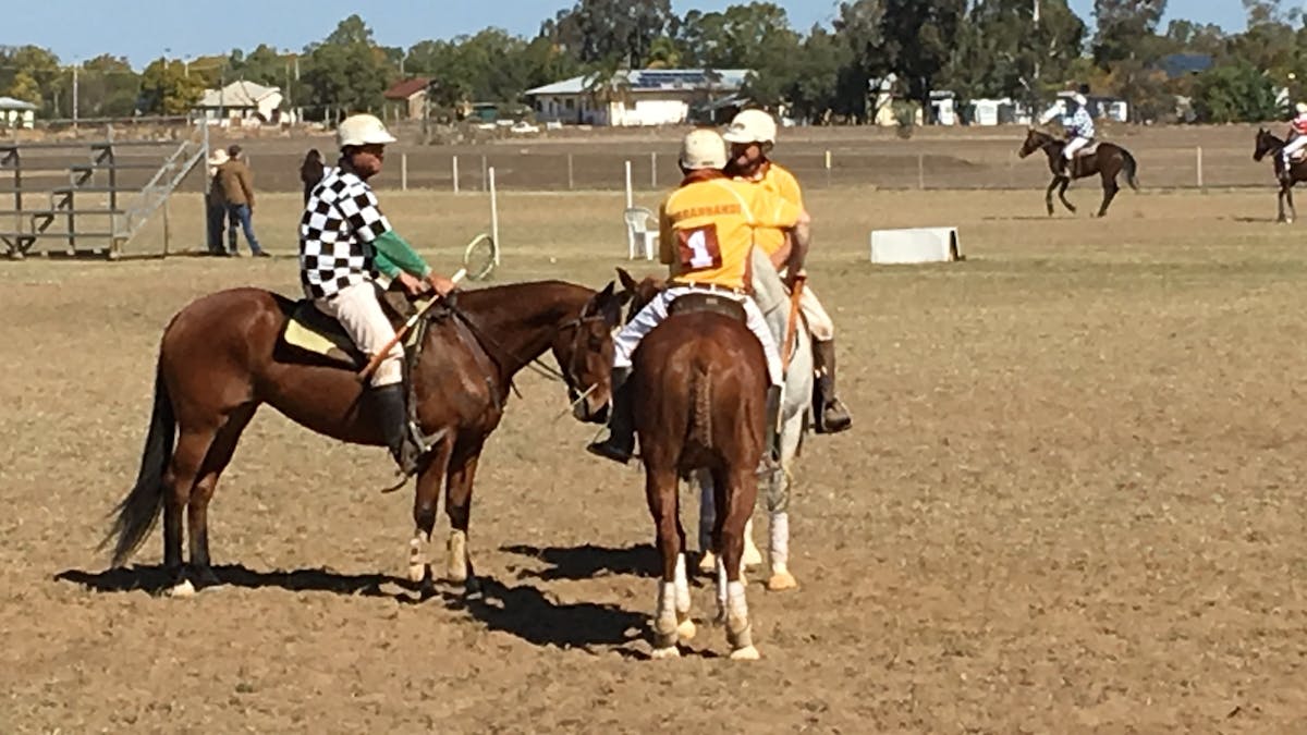 Polocrosse