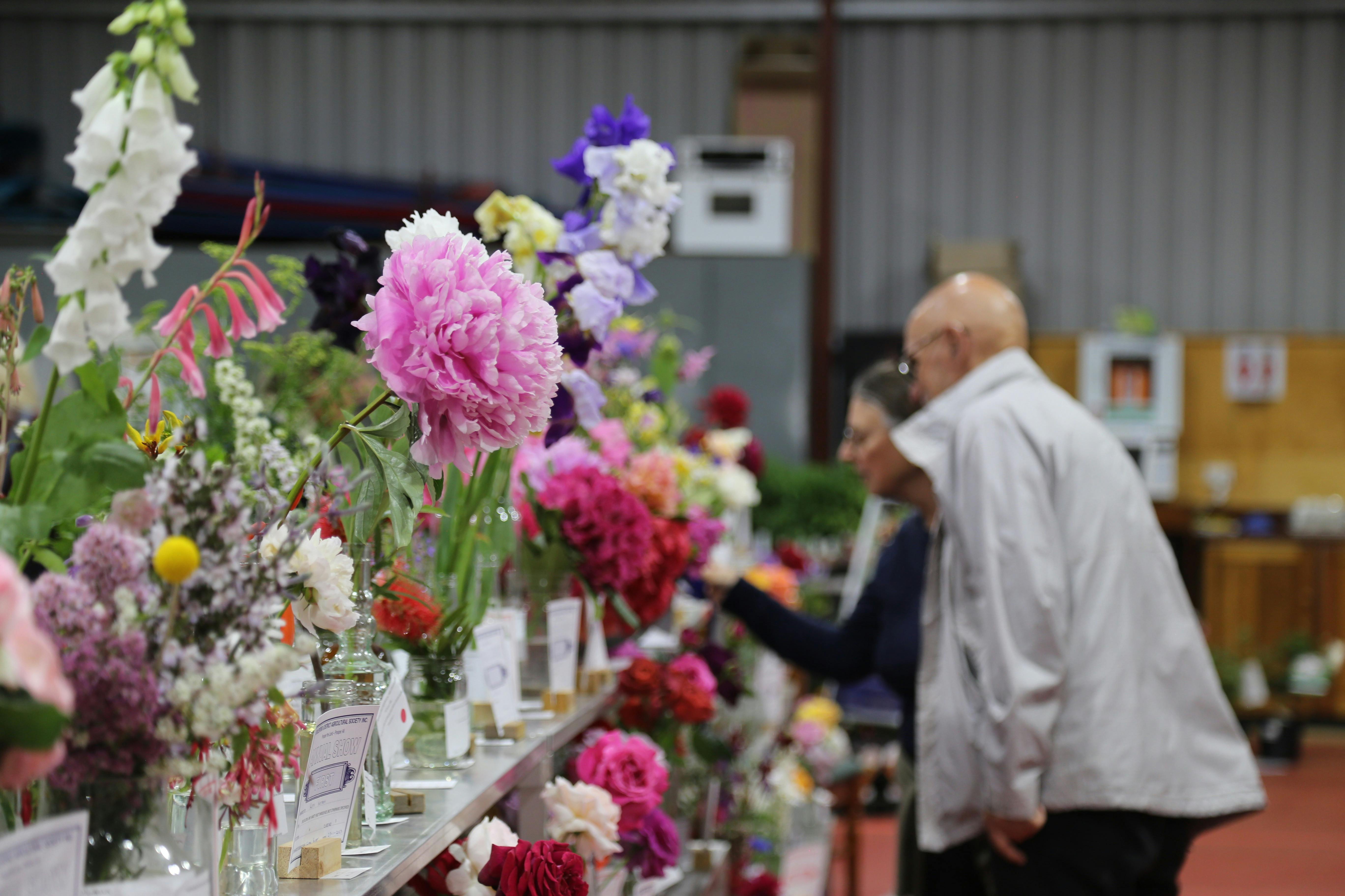Flower exhibits on benches