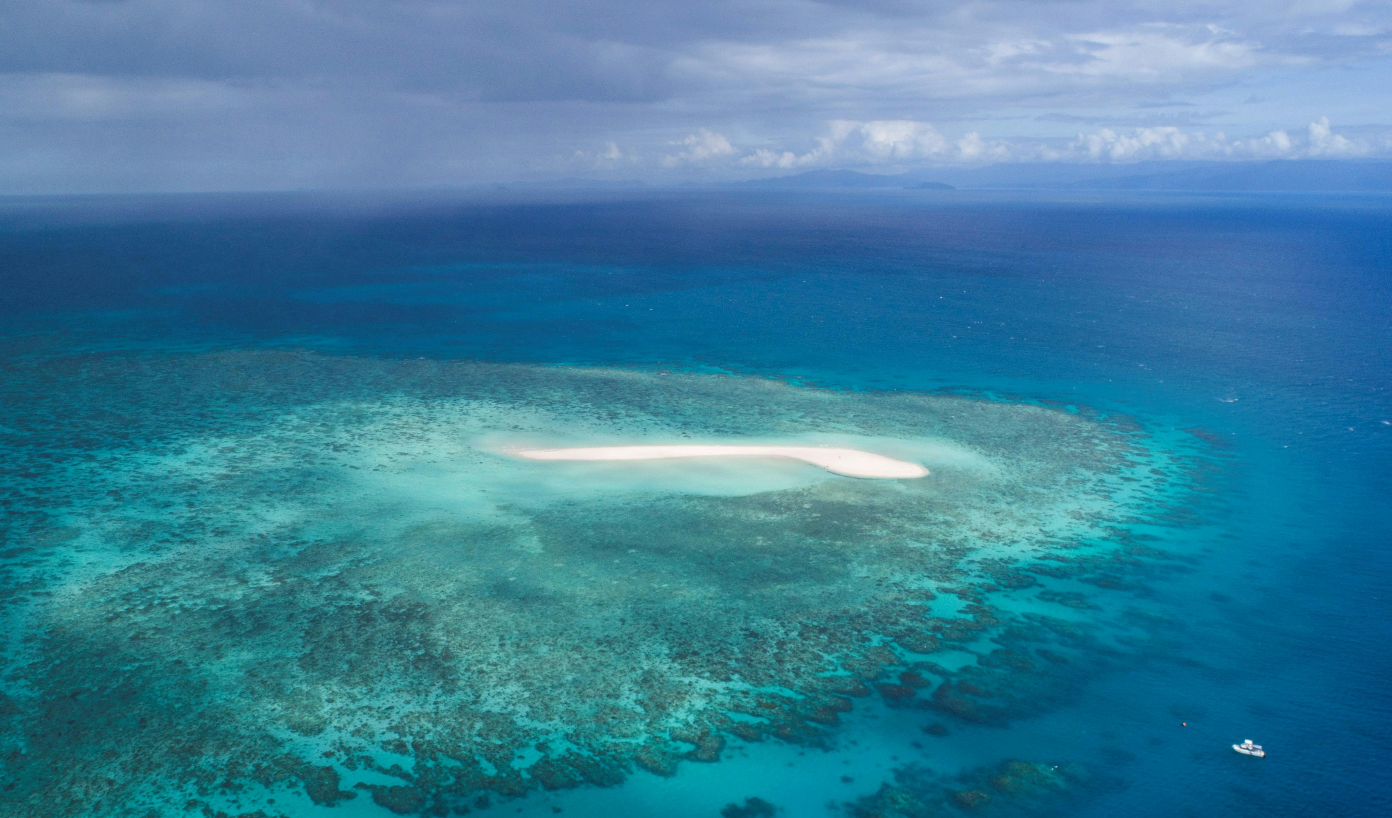 Half Day Fishing Charter