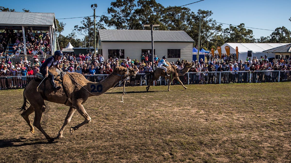 Tara Festival of Culture and Camel Races