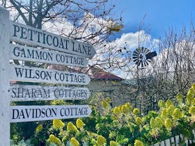 Petticoat Lane Penola