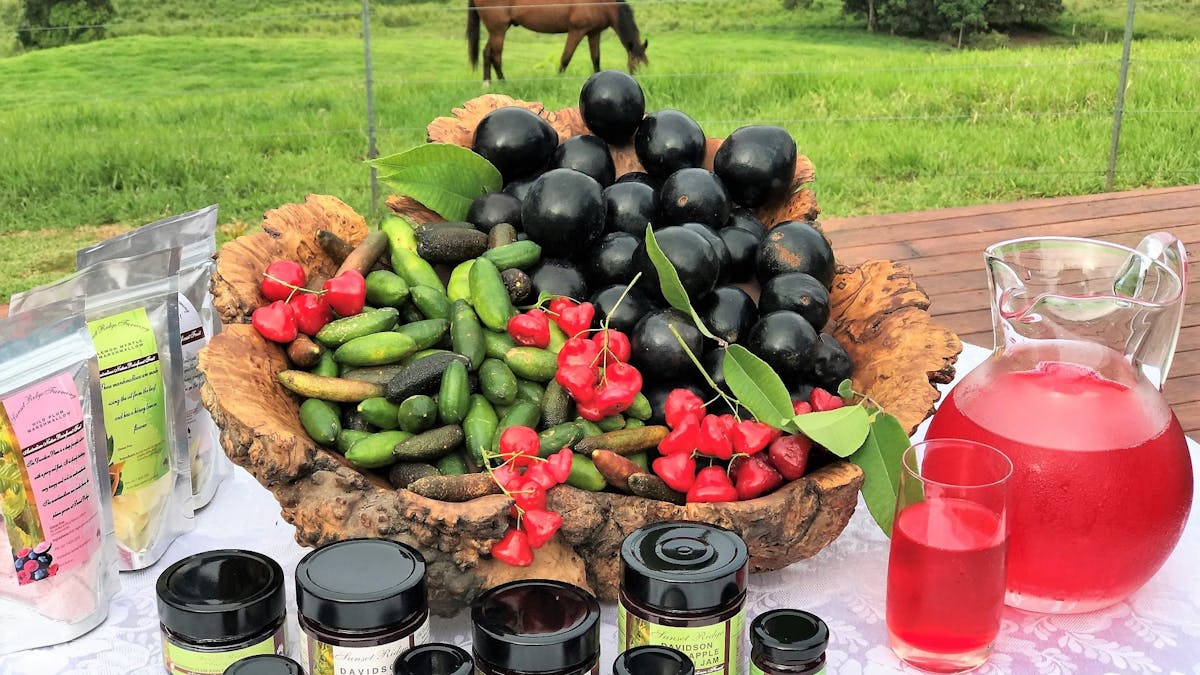 SUNSET RIDGE FARM