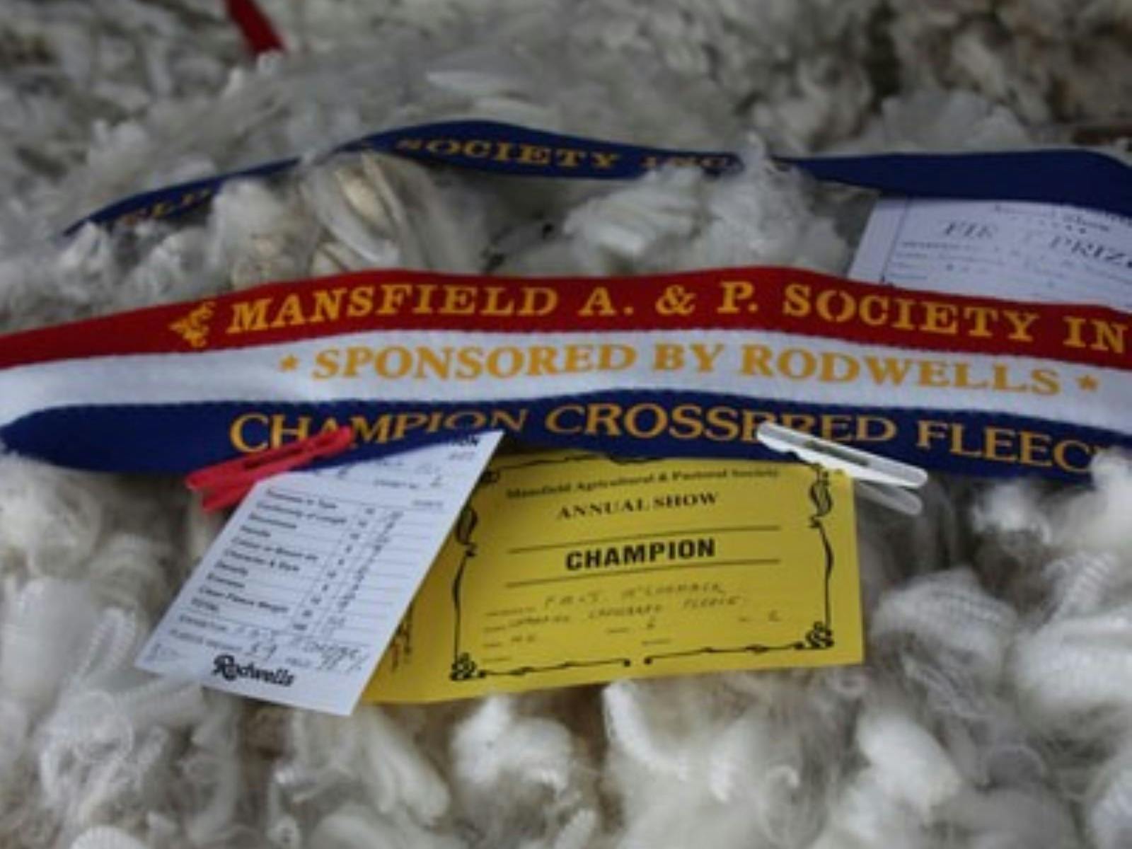 Mansfield Show Fleeces