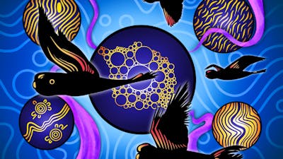 black cockatoo drawing with colours