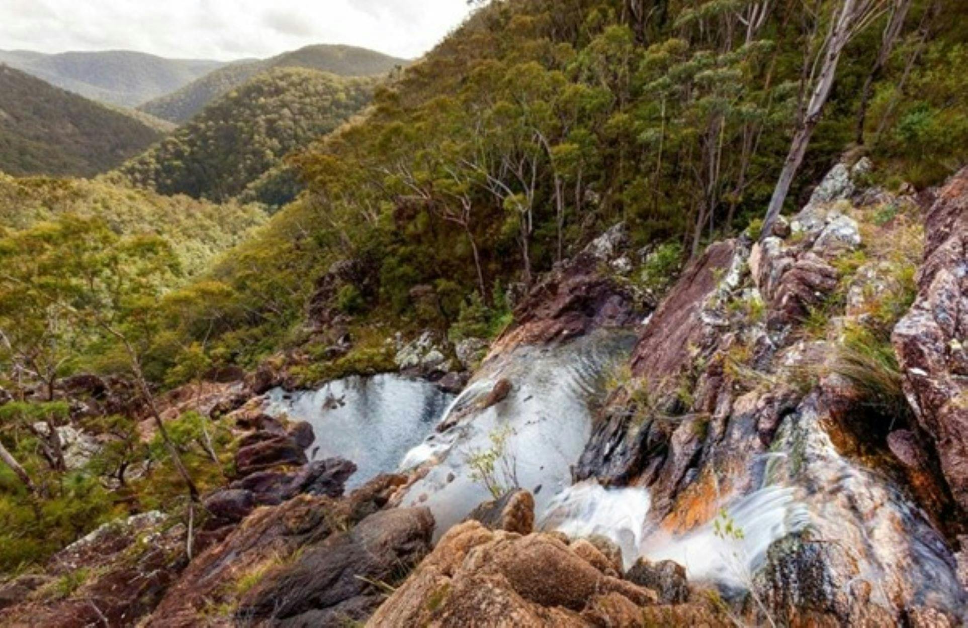 Gibraltar Range National Park