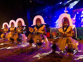 Cairns Indigenous Art Fair