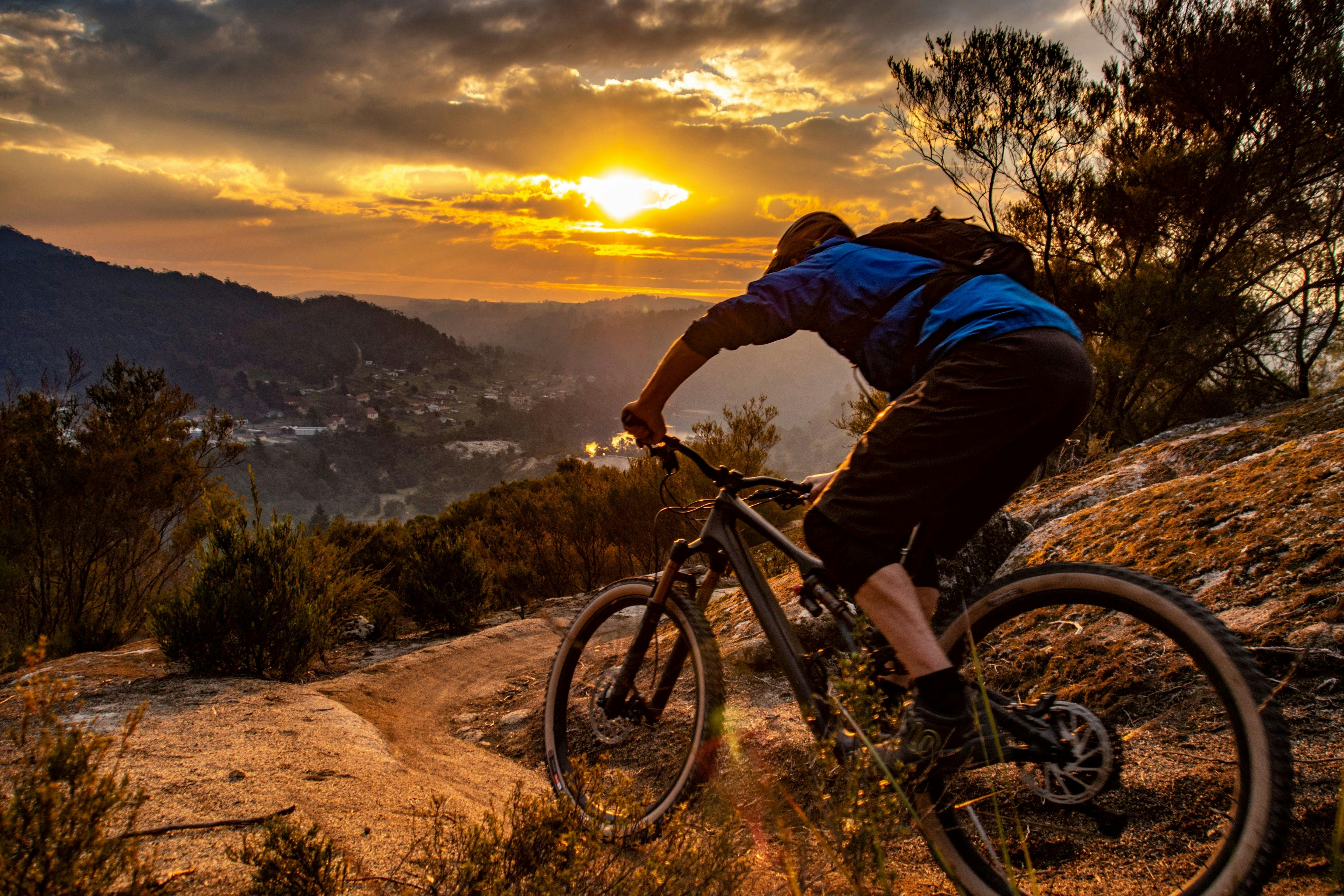 Mountain biker on trails