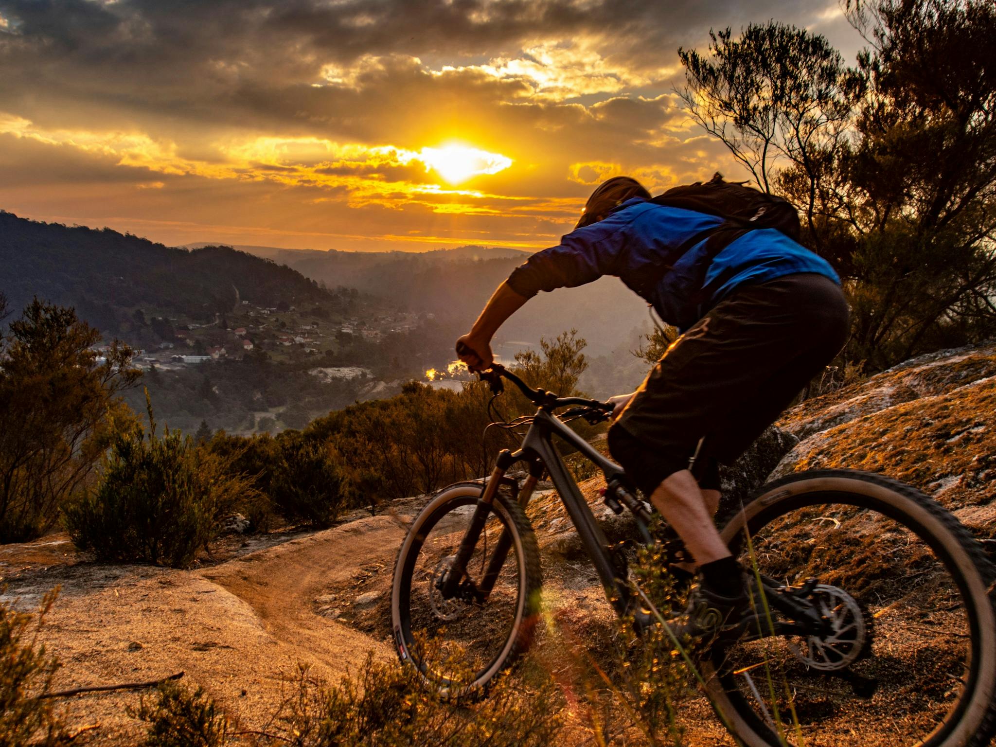 Mountain biker on trails