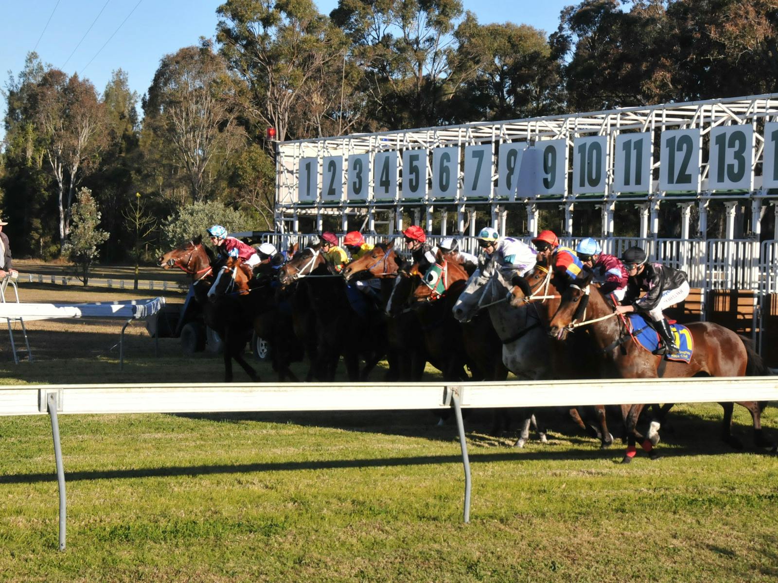 Image for Taree Gold Cup