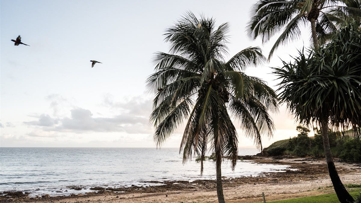 beach view