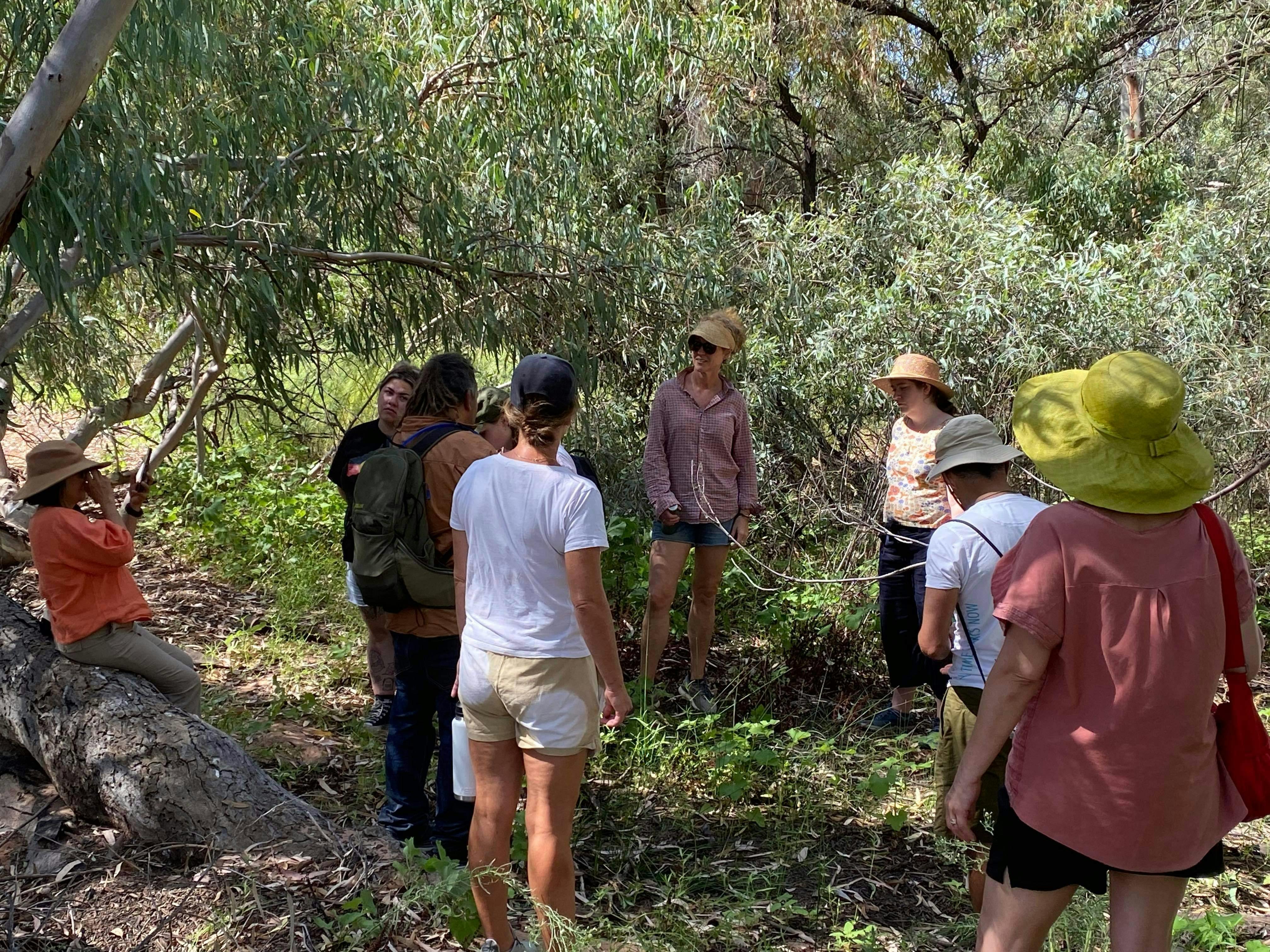 Wontanella wanderings